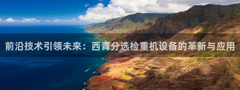 威九国际66m66官网：前沿技术引领未来：西青分选检重机设备