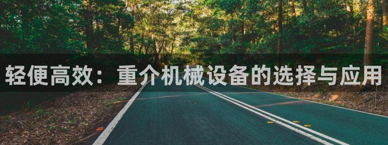 威九国际最受欢迎的功能：轻便高效：重介机械设备的选择与应用