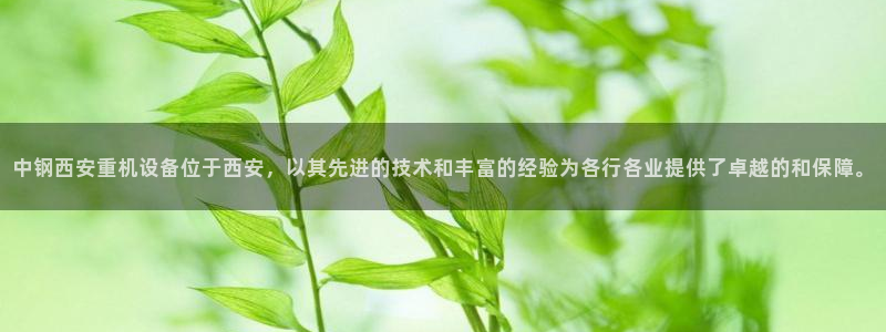 78mapp威九国际成全视频：中钢西安重机设备位于西安，以其