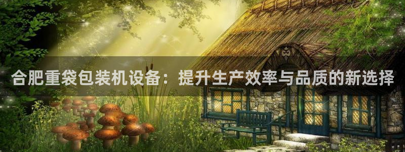 威九国际人民网：合肥重袋包装机设备：提升生产效率与品质的新选