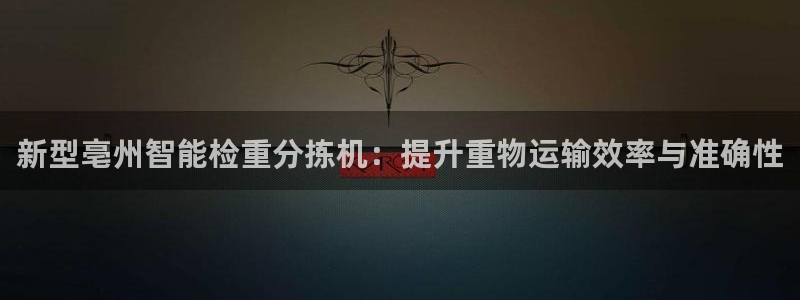 威九国际网站入口rdquo：新型亳州智能检重分拣机：提升重物