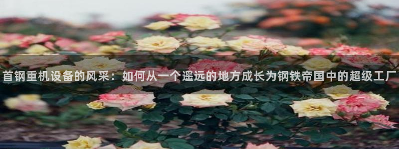 威九国际78mb42- MBA中文：首钢重机设备的风采：如何