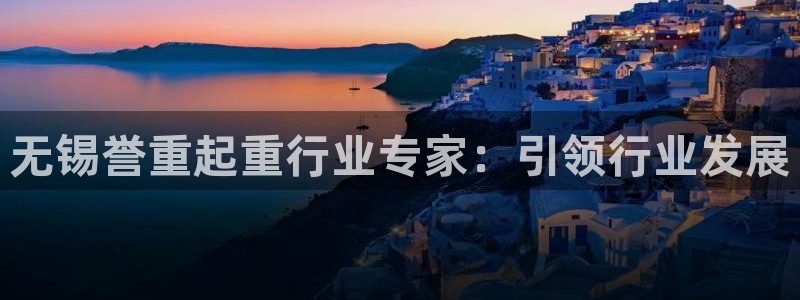 威九国际演员2023年最新作品：无锡誉重起重行业专家：引领行