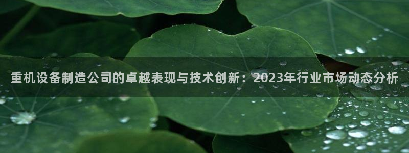 威九国际官方入口官网：重机设备制造公司的卓越表现与技术创新：