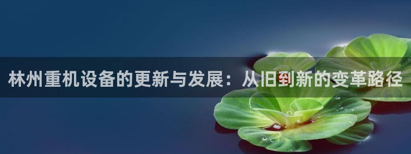 威九国际的女主：林州重机设备的更新与发展：从旧到新的变革路径