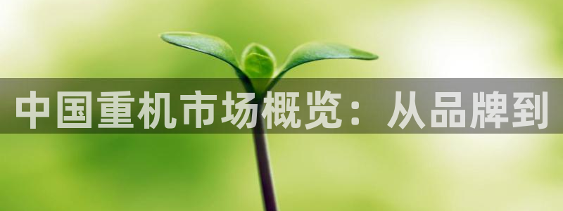 78mapp威九国际最新版：中国重机市场概览：从品牌到