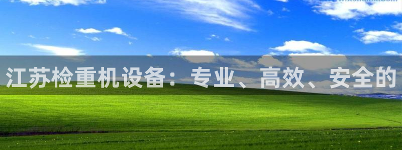 保定威九网络科技有限公司电话：江苏检重机设备：专业、高效、安