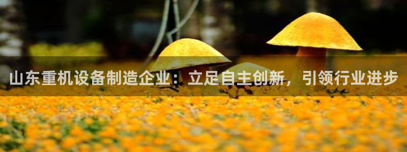威九国际取款机怎么取：山东重机设备制造企业：立足自主创新，引