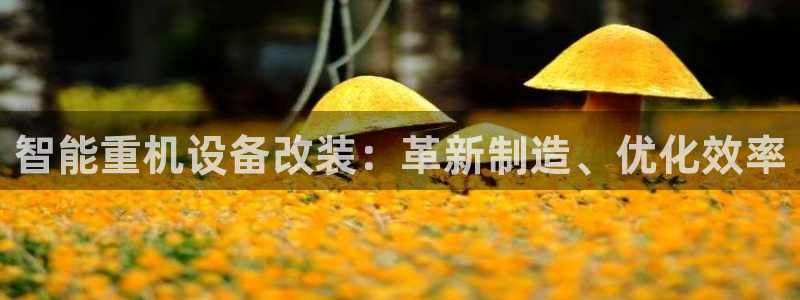 78mapp威九国际网页版：智能重机设备改装：革新制造、优化