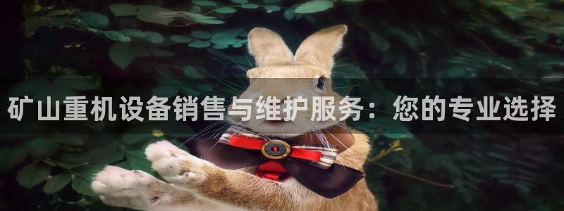威九国际坑人的嘛：矿山重机设备销售与维护服务：您的专业选择