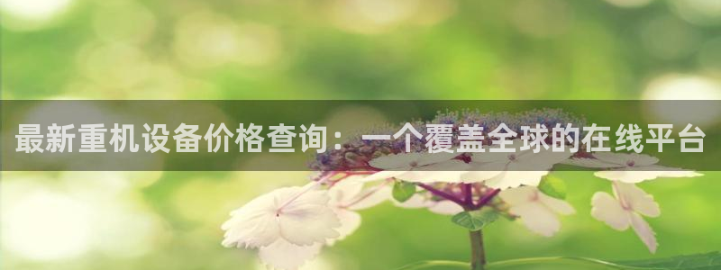 威九国际app网站：最新重机设备价格查询：一个覆盖全球的在线