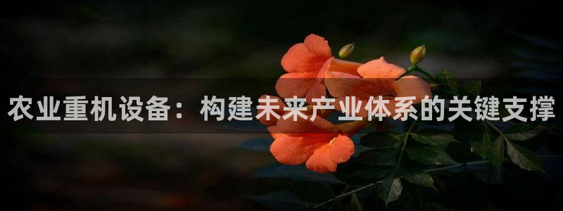 威九国际mm