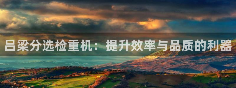 保定威九网络科技有限公司是干嘛的