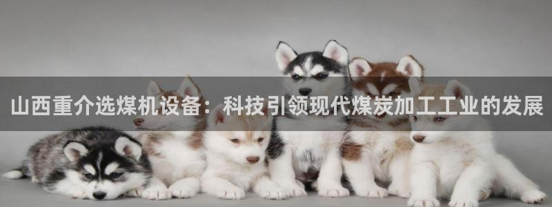威九国际客服电话