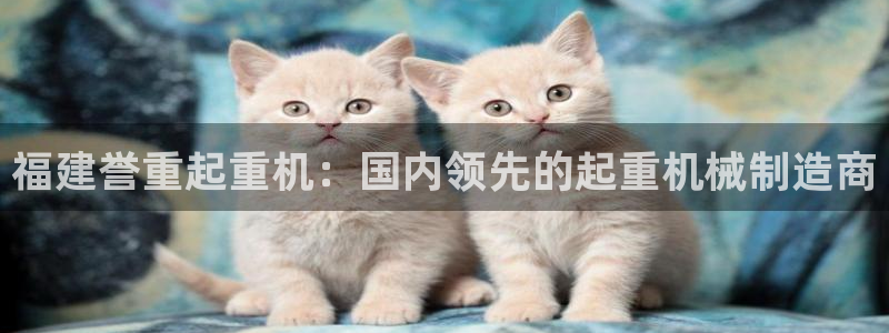 威九国际网站经常打不开网页