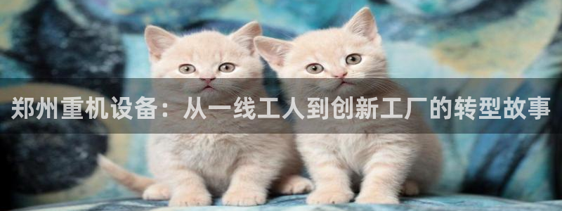 威九国际app哪个地方