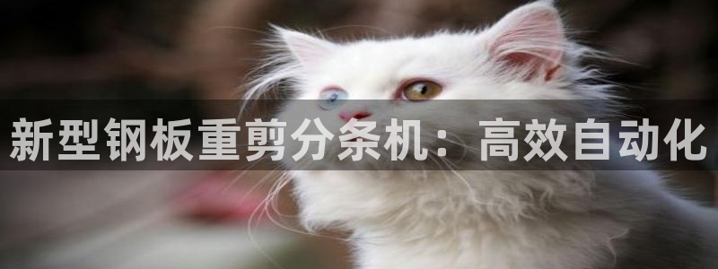 保定威九网络科技有限公司招聘：新型钢板重剪分条机：高效自动化