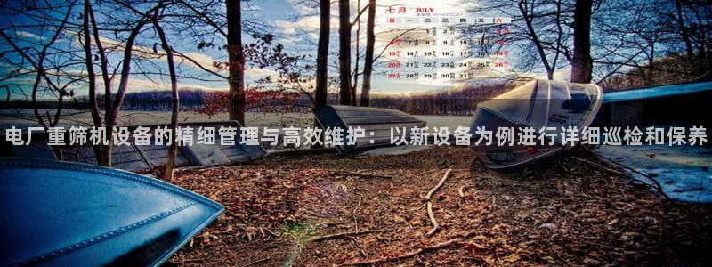 威九国际网站游戏：电厂重筛机设备的精细管理与高效维护：以新设