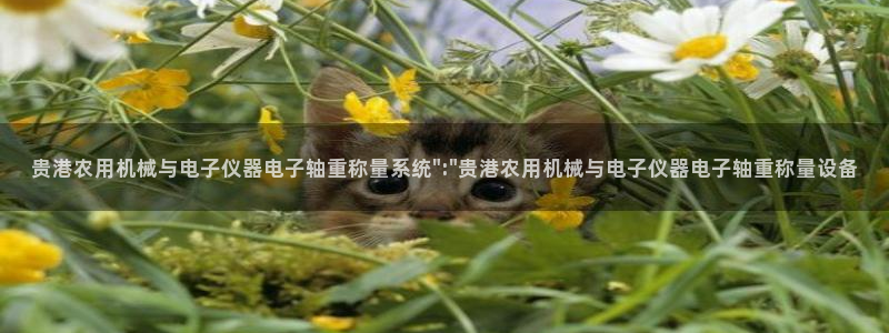 威九国际免费进入：贵港农用机械与电子仪器电子轴重称量系统\