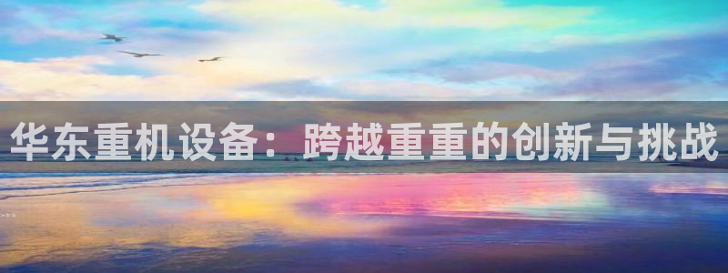 威九国际官网登录入口下载：华东重机设备：跨越重重的创新与挑战