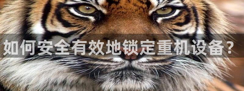 威九国际66m官网版：如何安全有效地锁定重机设备？