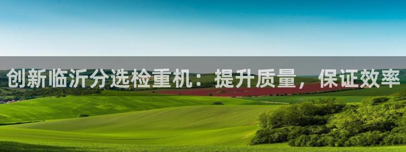 威九国际网站进入产品中心：创新临沂分选检重机：提升质量，保证