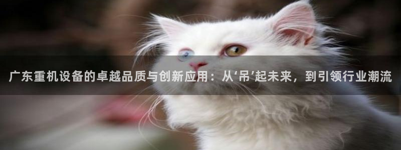 威九国际最新：广东重机设备的卓越品质与创新应用：从‘吊’起未