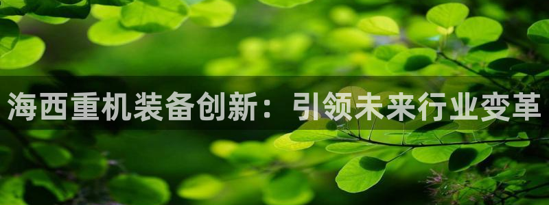 威九国际男主：海西重机装备创新：引领未来行业变革