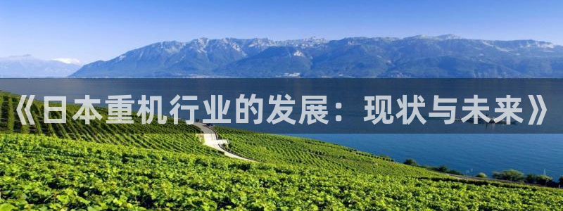 威九国际精免费下载：《日本重机行业的发展：现状与未来》